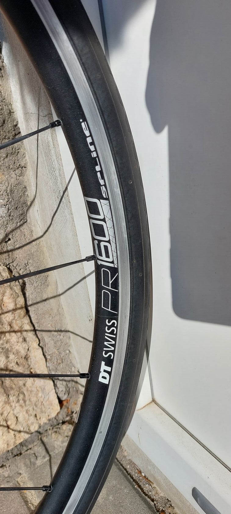 Prodám WILIER GTR Campagnolo 