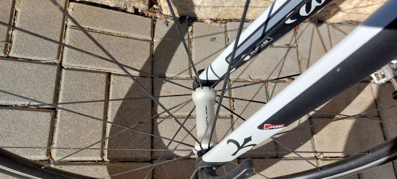 Prodám WILIER GTR Campagnolo 