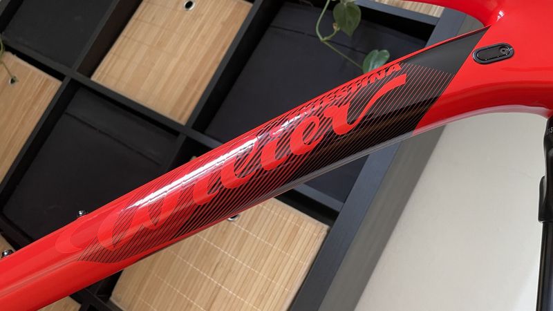 Wilier 101X carbon Red / vel.L / Shimano 1x12 / zánovní