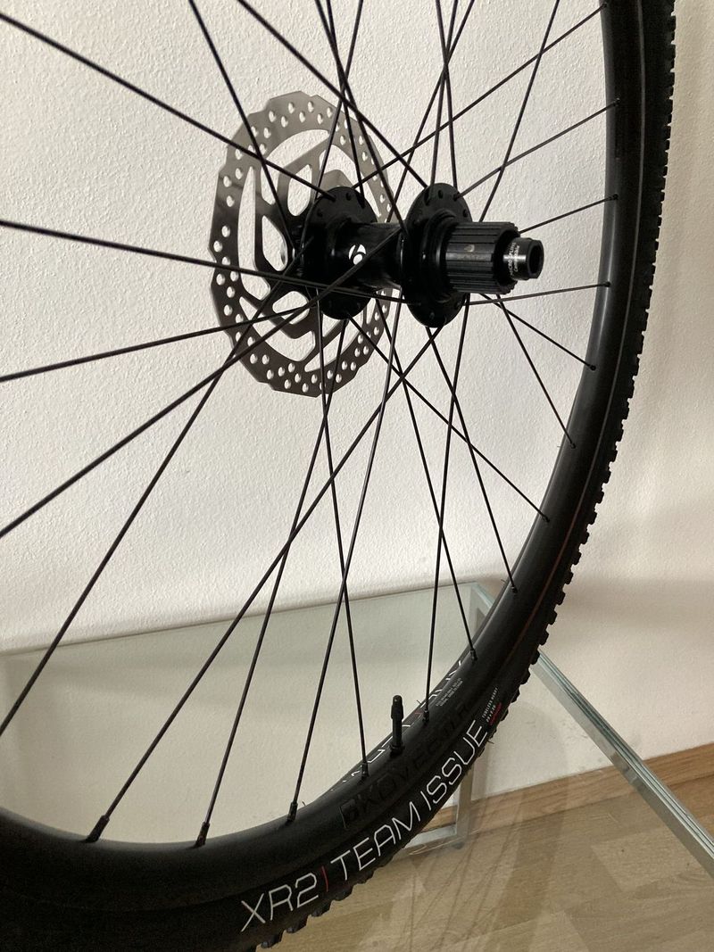 Nové BONTRAGER Kovee TLR 29" x 2.20