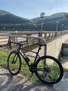 Giant TCR advanced 1+ disc PRO