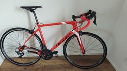 Wilier GTR-Team