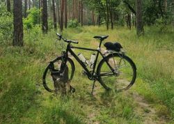 Bikepacking/Touring Rohloff L Kolo Bike 