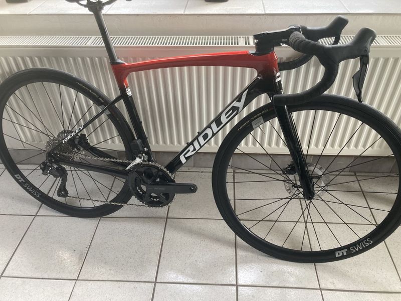 Ridley