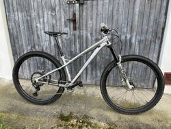 Sleva do konce týdne - Bird Bikes Zero 29 - pevné enduro