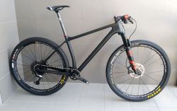 MRX Carbon Raw 2020 1x12 Sram X01, 9,86 kg vel. 19"