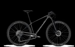 Focus Raven 8.6