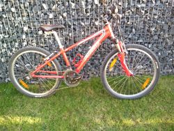 Specialized Hotrock 24