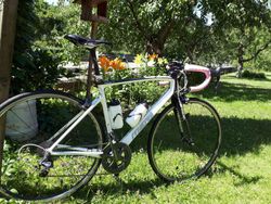 Dámsky celokarbon Merida Ride 95
