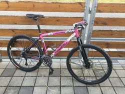 Prodoli MTB limited edituon