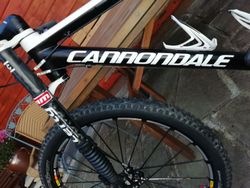 Cannondale F29 team 9kg
