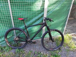 Cube Reaction Pro 21" XT M8000