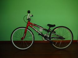 Redline Flight Mini 20"