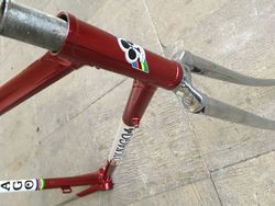 Colnago Junior