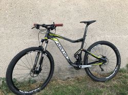 Kellys Reyon 50