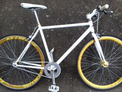 Single Speed / Fixie
