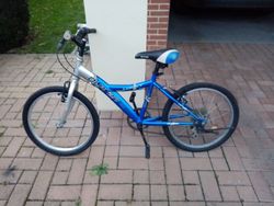 OLPRAN Lucky 20"