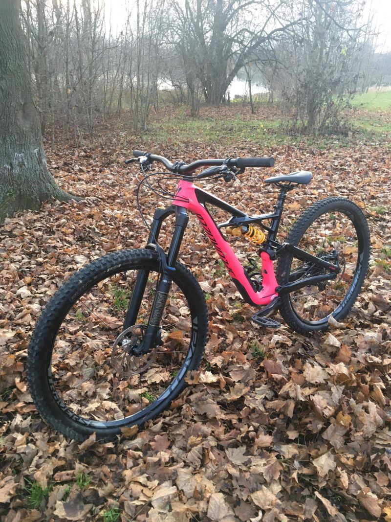 SPECIALIZED ENDURO ELITE 29/6FATTIE