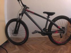 Kellys Whip 50 2019