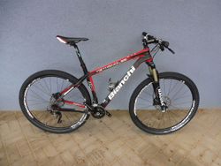 Bianchi Methanol 29 Carbon