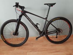 FOCUS RAVEN ELITE 29