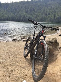 Specialized Camber Expert 29