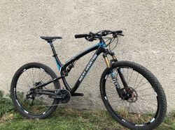 Rocky Mountain Element 950