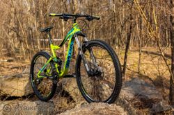 Kellys Reyon 29"
