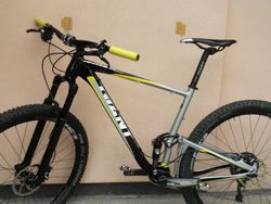 GIANT ANTHEM X 29ER 1