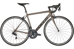 FOCUS IZALCO RACE 9.9 MODEL 2019