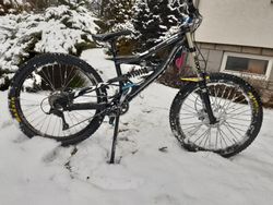 Specialized status 2