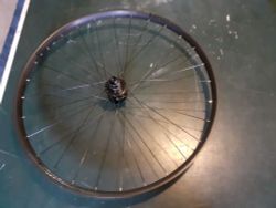 Bontrager/Duroc