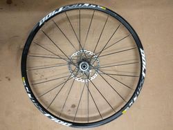 záplety Mavis Crossride 29"
