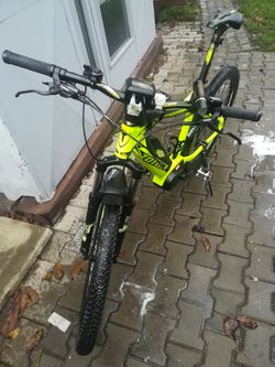ElektrokoloTotem Eagle