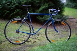 Singlespeed Favorit