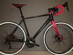 CX Cube 2019