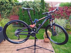 Trek Full EX 6 29 2015