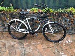 Marin Drakes Beach Cruiser