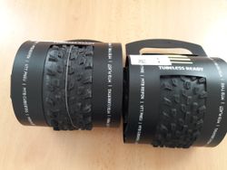 29" Schwalbe Racing Ray Addix, Performance TL-ready 2019