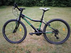 Core Nipper 24"