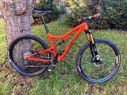 Ibis Ripley 2