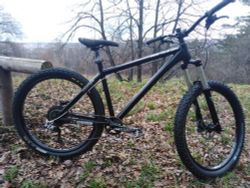 Dartmoor Hortnet 27,5“ (L)