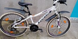 dívčí kolo Focus Donna 24 palců od 130 cm.