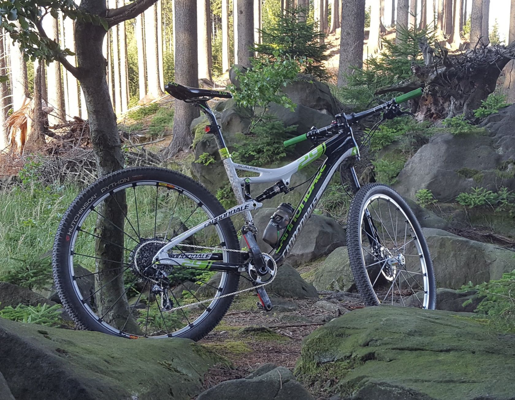 cannondale scalpel cena