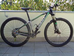 Giant XTC 29