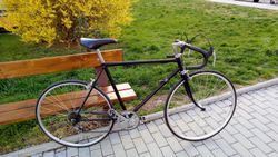 Favorit po renovaci