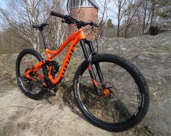 kolo NINER RIP 9 RDO CARBON 29"