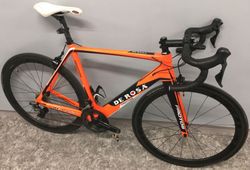 De Rosa Protos