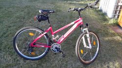 Leader Fox Maxim vel. 16"