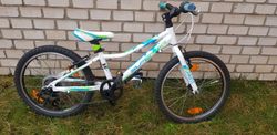 Superior paint xc 20